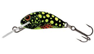 Salmo Hornet Sinking 2.5cm - 